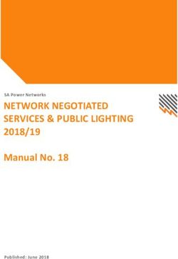 NETWORK NEGOTIATED SERVICES & PUBLIC LIGHTING - 2018/19 Manual No. 18 SA Power Networks - Published: June 2018