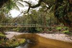 PAPAROA TRACK Plan and prepare - DOC