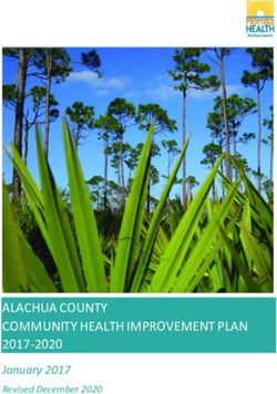 ALACHUA COUNTY COMMUNITY HEALTH IMPROVEMENT PLAN - 2017-2020 January 2017 Revised December 2020