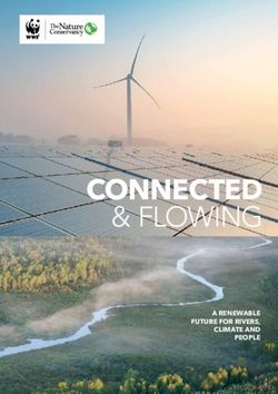 CONNECTED & FLOWING A RENEWABLE FUTURE FOR RIVERS, CLIMATE AND PEOPLE