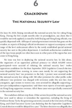 6 Crackdown The National Security Law