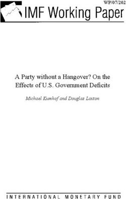 A Party without a Hangover? On the Effects of U.S. Government Deficits - WP/07/202