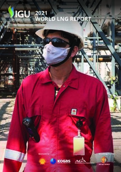 WORLD LNG REPORT 2021 - Naturgas