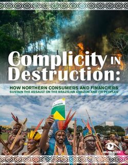 Complicity IN Destruction: HOW NORTHERN CONSUMERS AND FINANCIERS SUSTAIN THE ASSAULT ON THE BRAZILIAN AMAZON AND ITS PEOPLES - Amazon Watch