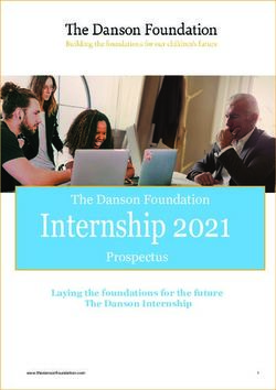 Internship 2021 The Danson Foundation Prospectus - Laying the foundations for the future