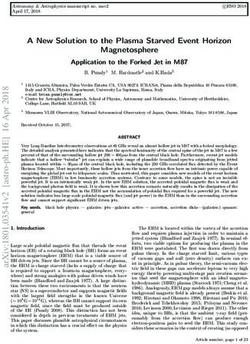 A New Solution to the Plasma Starved Event Horizon Magnetosphere