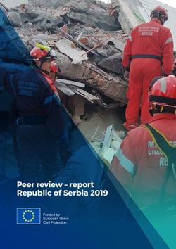 Peer review - report Republic of Serbia 2019 - Funded by European Union Civil Protection - European ...