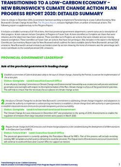 TRANSITIONING TO A LOW-CARBON ECONOMY - NEW BRUNSWICK'S CLIMATE CHANGE ACTION PLAN PROGRESS REPORT 2020: DETAILED SUMMARY