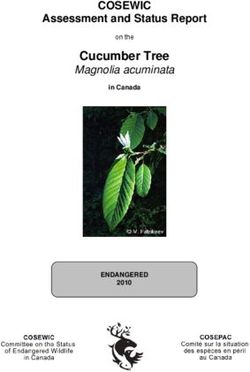 Cucumber Tree Magnolia acuminata - COSEWIC Assessment and Status Report