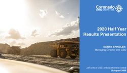 2020 Half Year Results Presentation - GERRY SPINDLER Managing Director and CEO - Bell ...