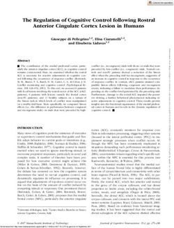 The Regulation of Cognitive Control following Rostral Anterior Cingulate Cortex Lesion in Humans