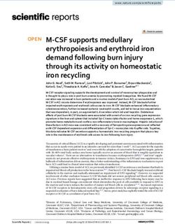 M CSF supports medullary erythropoiesis and erythroid iron demand following burn injury through its activity on homeostatic iron recycling
