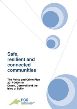 Safe, resilient and connected communities - The Police and Crime Plan 2017-2020 for Devon, Cornwall and the Isles of Scilly - The ...