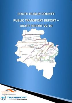 SOUTH DUBLIN COUNTY PUBLIC TRANSPORT REPORT - DRAFT REPORT V2.10