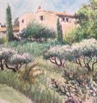 Garden drawing course in Provence - Corinne Détroyat ...