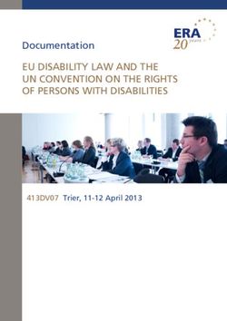 Documentation EU DISABILITY LAW AND THE UN CONVENTION ON THE RIGHTS OF PERSONS WITH DISABILITIES - 413DV07 Trier, 11-12 April 2013
