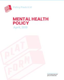 MENTAL HEALTH POLICY April, 2019 - Policy Pack II.VI - Platform Women