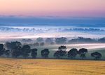 Best of South Australia - The Flinders Ranges, Yorke Peninsula and Clare Valley Departs 12th September 2022 - Blue Dot Travel