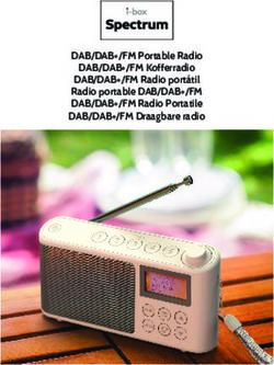 DAB/DAB+/FM Portable Radio DAB/DAB+/FM Kofferradio DAB/DAB+/FM Radio portátil Radio portable DAB/DAB+/FM DAB/DAB+/FM Radio Portatile DAB/DAB+/FM ...