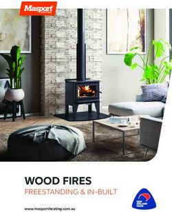 WOOD FIRES FREESTANDING & IN-BUILT - www.masportheating.com.au - Devilees