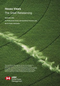 House Views The Great Rebalancing - September 2020 For Professional Clients and Institutional Investors only