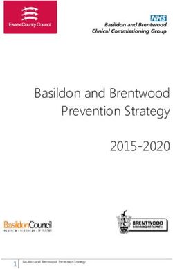 Basildon and Brentwood Prevention Strategy 2015-2020