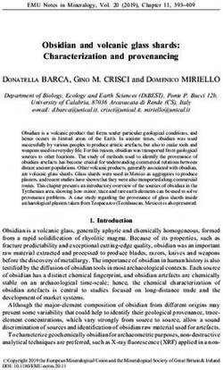 Obsidian and volcanic glass shards: Characterization and provenancing - European Mineralogical ...