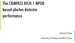 The COMPASS RICH-1 MPGD based photon detector performance - Daniele D'Ago University of Trieste and INFN Trieste - CERN Indico