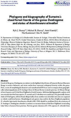 Phylogeny and biogeography of Sumatra s cloud forest lizards of the genus Dendragama and status of Acanthosaura schneideri - ZooKeys