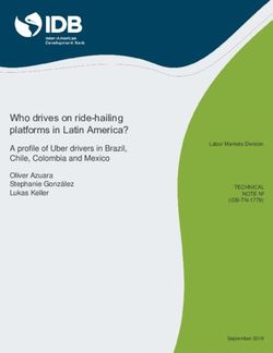 Who drives on ride-hailing platforms in Latin America? - A profile of Uber drivers in Brazil, Chile, Colombia and Mexico
