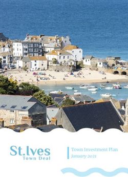 Town Investment Plan January 2021 - St Ives Town Deal