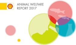 ANIMAL WELFARE REPORT 2017 - Shell