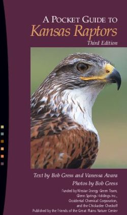 Kansas Raptors A POCKET GUIDE TO