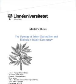 Master's Thesis The Upsurge of Ethno-Nationalism and Ethiopia's Fragile Democracy