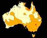 Australia's Black Summer heatwave impacts - Australian ...