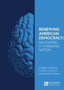 RENEWING AMERICAN DEMOCRACY: NAVIGATING A CHANGING NATION A Report of Beyond Conflict's America's Divided Mind Initiative