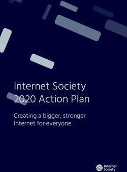 Internet Society 2020 Action Plan - Creating a bigger, stronger Internet for everyone.