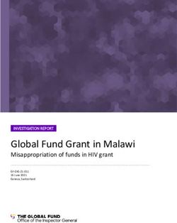 Global Fund Grant in Malawi - Misappropriation of funds in HIV grant INVESTIGATION REPORT