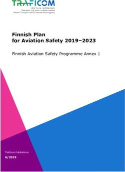 Finnish Plan for Aviation Safety 2019-2023 - Finnish Aviation Safety Programme Annex 1 - Traficom