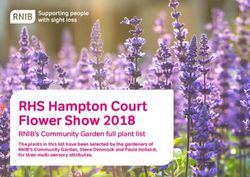RHS Hampton Court Flower Show 2018 - RNIB's Community Garden full plant list The plants in this list have been selected by the gardeners of RNIB's ...
