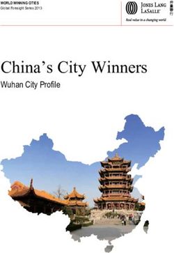 China's City Winners Wuhan City Profile - WB China.net