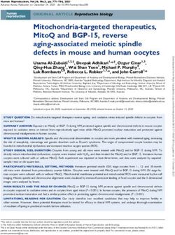 Mitochondria-targeted therapeutics, MitoQ and BGP-15, reverse aging-associated meiotic spindle defects in mouse and human oocytes
