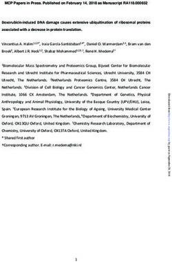 Doxorubicin-induced DNA damage causes extensive ubiquitination of ribosomal proteins associated with a decrease in protein translation.