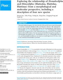 Exploring the relationship of Homalosilpha and Mimosilpha (Blattodea, Blattidae, Blattinae) from a morphological and molecular perspective ...