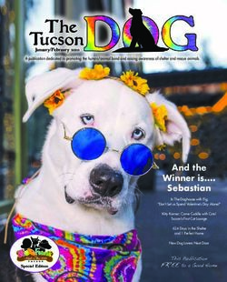 And the Winner is . Sebastian - The Tucson Dog
