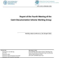 Report of the Fourth Meeting of the Catch Documentation Scheme Working Group