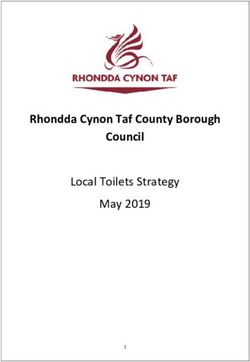 Rhondda Cynon Taf County Borough Council - Local Toilets Strategy May 2019