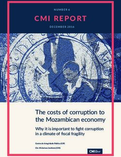 CMI REPORT - The costs of corruption to the Mozambican economy Why it is important to fight corruption in a climate of fiscal fragility - Chr ...