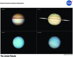 The Jovian Planets - NASA