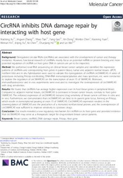 CircRNA inhibits DNA damage repair by interacting with host gene
